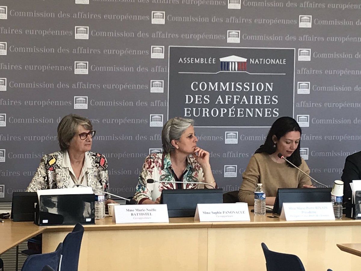 Marie-Pierre Rixain tweet media