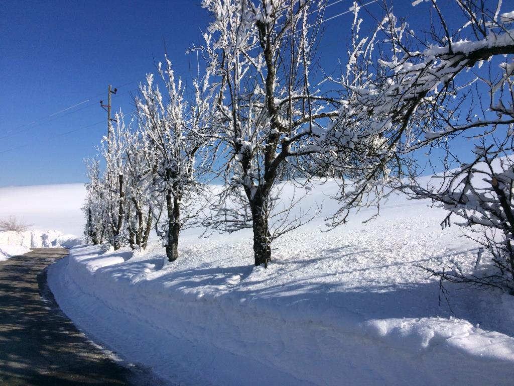 ESlovenica's tweet photo. Zima -Winter #Hill #hribe #mountains #etnobotanica #etnobotanika #drevesa #trees #winter #zima #snow #sneg #frost #narava #nature #forest #gozd #landscapes #naturephotography #instanature #Slovenija #Slovenia #javedi #ifeelslovenia #discoverslovenia #travel #instatravel #旅行 https://t.co/VVGiMCXGWu