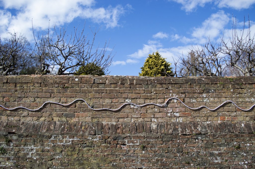 Gwyneth Machin tweet media