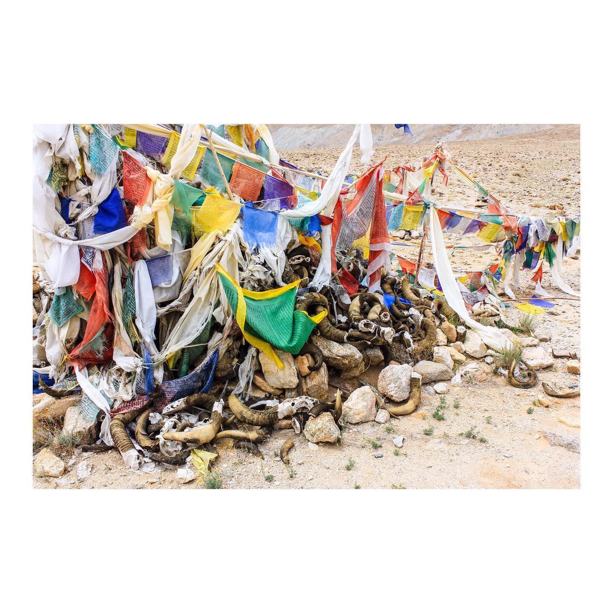 TheIndianRTC's tweet photo. Medieval trade routes of the South- Asian countries, are now known as the great Himalayan passes.
#RTCIndia is taking a Leh expedition & we will be driving through some of these passes aka La.
Featuring -Nakee La, Zoji La, Khardung La, Rohtang La, Chang La & Chushul La #lehchalo https://t.co/0UQrUrJCbj