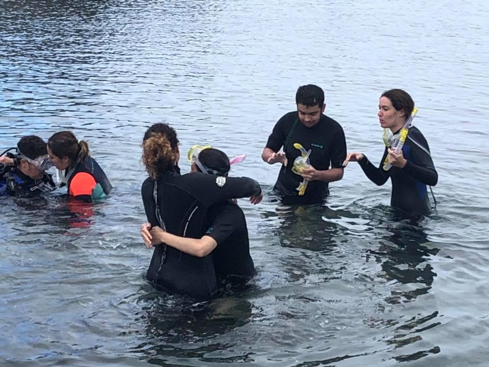 JuegosDVida's tweet photo. El programa #EnclaveDivertida para las Aulas Enclave y de NEE sigue captando adeptos en el buceo adaptado. Los alumnos del IES GUÍA Y SCHAMANN tuvieron varias sesiones de prácticas🎉 https://t.co/bFkha1rlvh