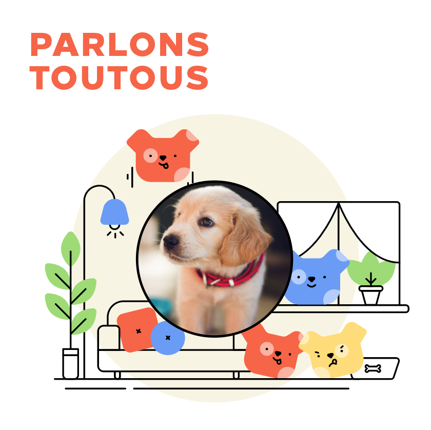 nougaassurances's tweet photo. Le chien est le meilleur ami de l'homme et chez @NougaAssurances, on l'a bien compris ! Eh oui, notre #assurance chien veille à la sécurité de vos petites boules de poils... à des prix tout doux : https://t.co/ntMl41n0t3 https://t.co/fSXA8OVzbL