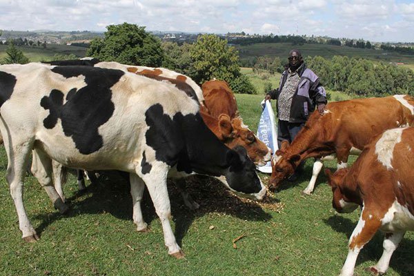 ImpactAfricaLtd's tweet photo. Small Farmers in East Africa Losing Out On Value Chain Apps https://t.co/THZxUkiZLS via @AfricaSustain1 https://t.co/6owOzoqFzo