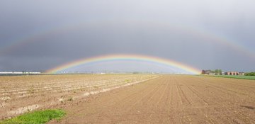 Посмотреть изображение в Твиттере