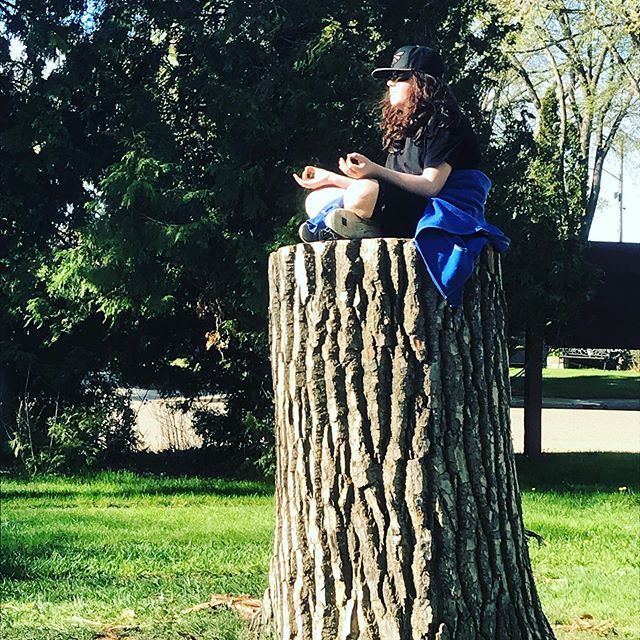 Finding the zen in nature #mindfulness #iamajayhawk #mhpsdfamily bit.ly/2EcwJ09