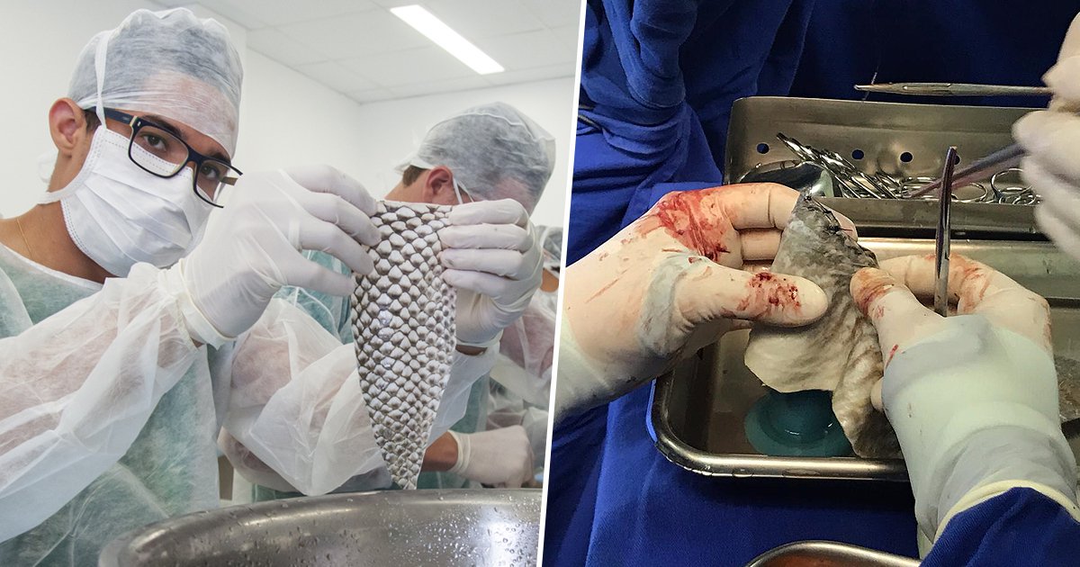 Misrlik erkak rus qizini sikadi Kupeda rus jinsiy sarguzashtlarini tomosha qiling