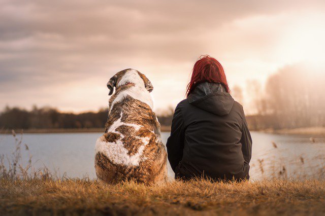 Qualidigm's tweet image. Animal companionship can have a profound impact on a person's quality of life and ability to recover and cope with illness. Get the facts about pets and their effect on your health: ow.ly/EIqk50udlMd @MHNRNetwork #MentalHealthMatters @MentalHealthAm @NIMHgov