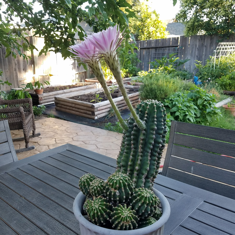 Liz Barney tweet media