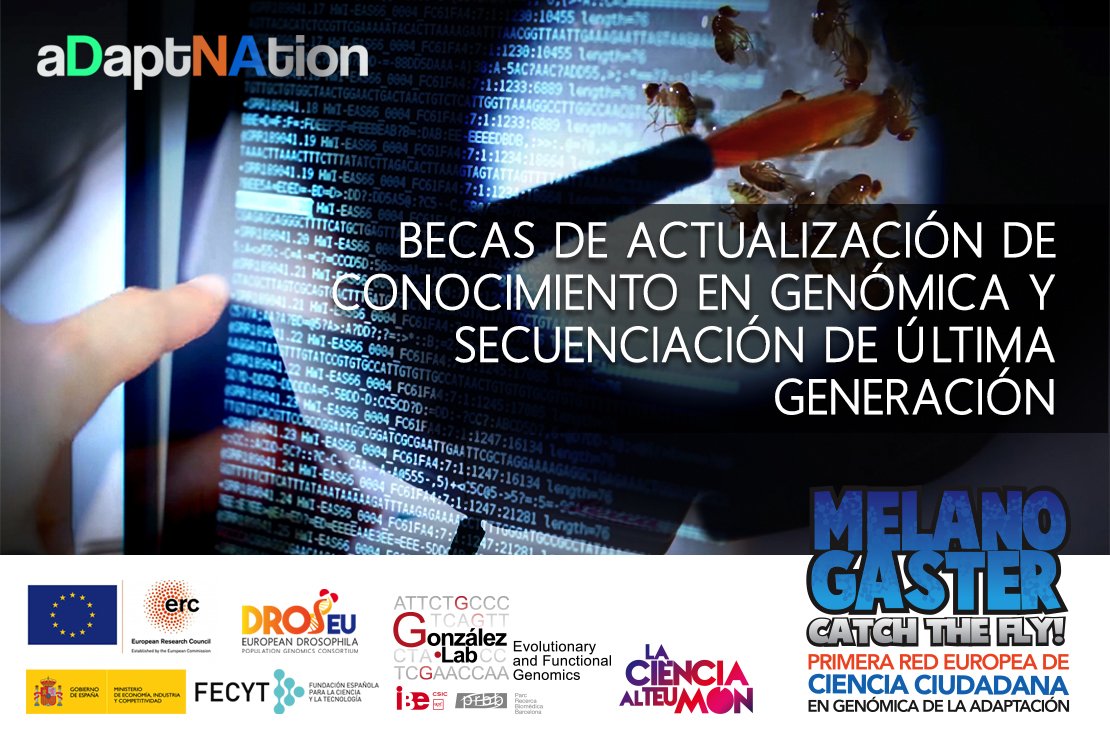 LCATMon's tweet photo. 📢 #Murcia #Alicante #Almería #Zaragoza📌
Vuelve #TeachAndFly, Jornada de formación en #genómica y secuenciación de última generación para #profesores de #ESO y #Bachillerato de #MelanogasterCTF #cienciaciudadana #Biologia 
Info e inscripción GRATUITA 👉 https://t.co/VN9NDYk97k https://t.co/Uzo6I1sWvn