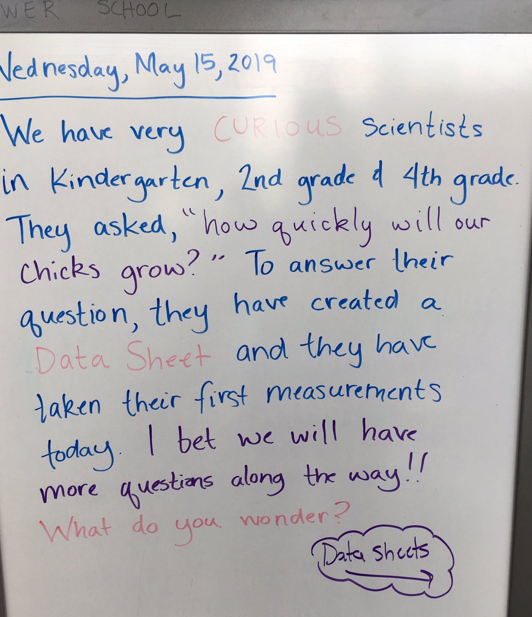 natur_xperience's tweet image. Student-driven inquiry in @CountryDay lower school inspired by chicks. 🐣🐥Data sheets were developed by students and they are making predictions based on today’s measurements. #ccdslearning #ccdsgreen @jencjensen5 @CCDdreamteam