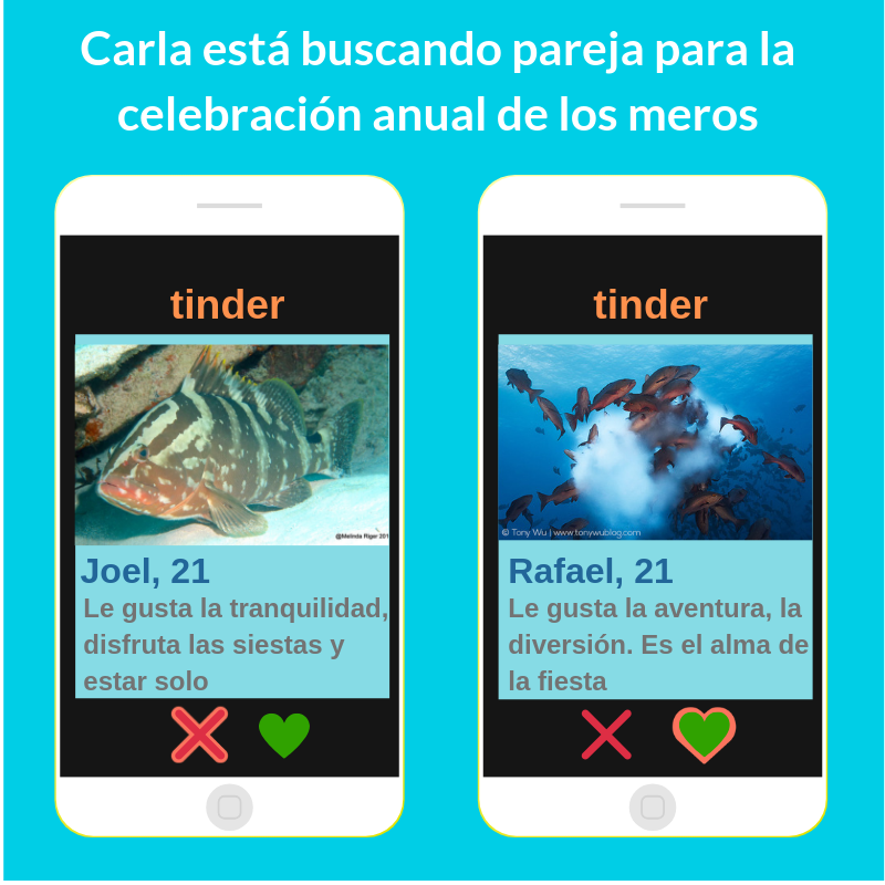cobi_mx's tweet photo. https://t.co/hqt3M4NlN4 

#FishLove #BigFishLOVE #oceanhumor #oceanoptimism #oceanfun #FishRave #UnderwaterLife https://t.co/m2RDaYobaa