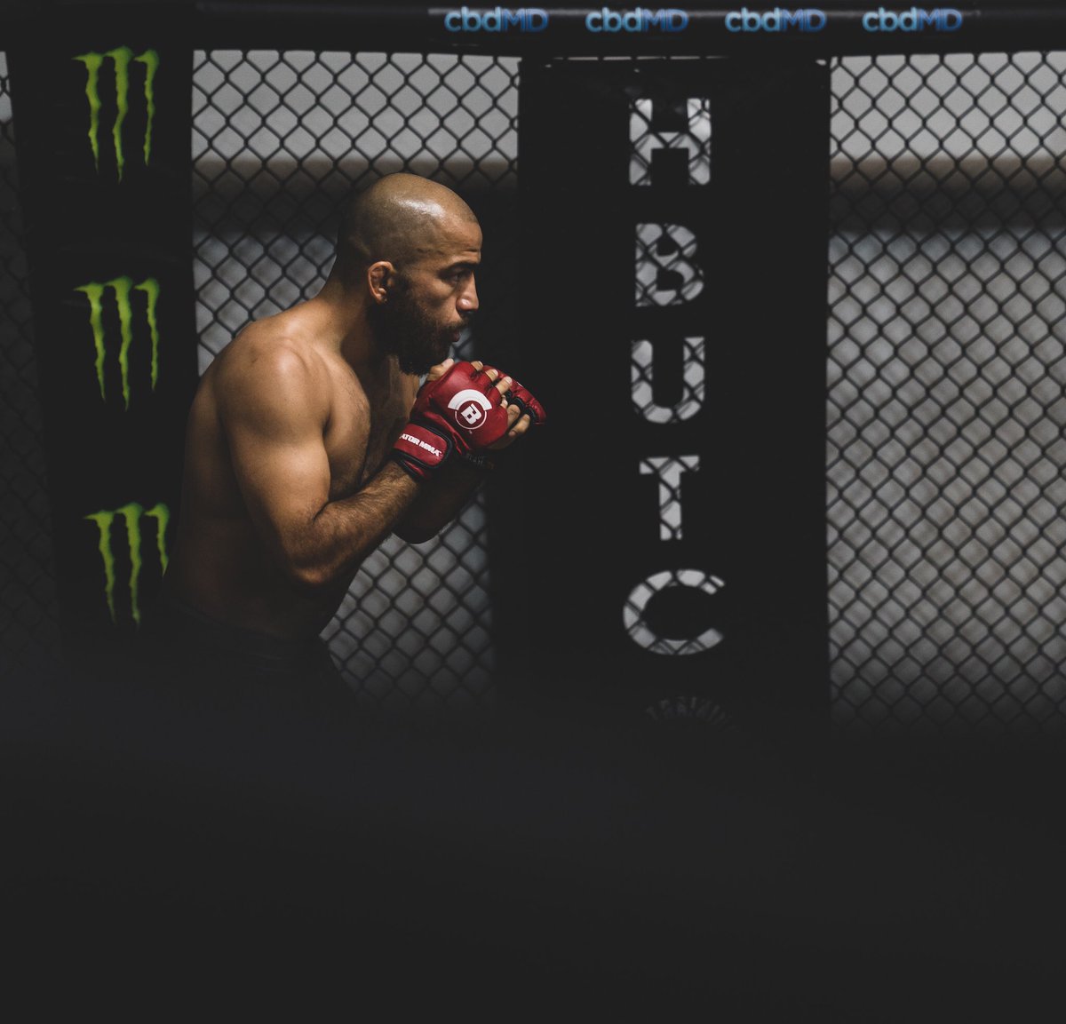 Unleash the beast. 🦍 <a href="/jarchmma/">Juan Archuleta</a>
#hbutcpro #bellator #monsterenergy
