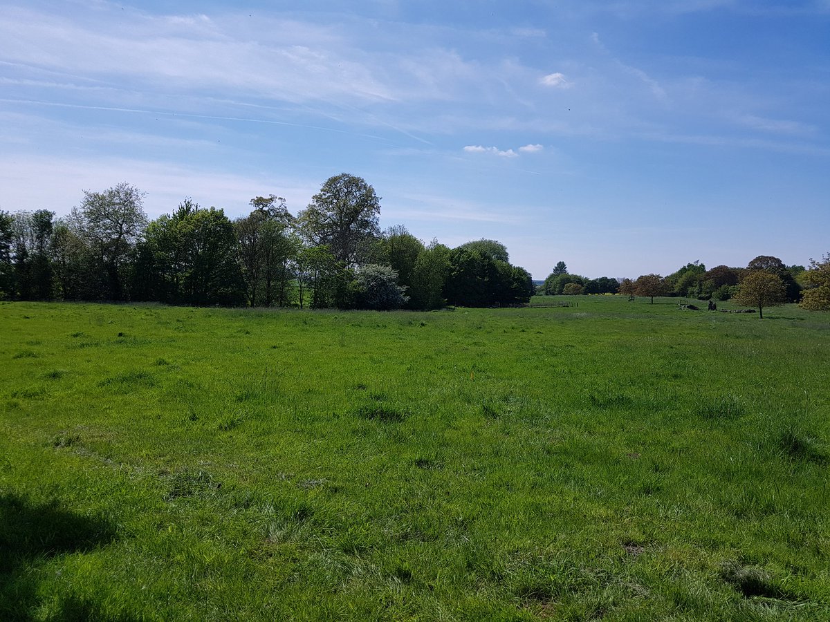 BNHeritage's tweet photo. Such a glorious day to be working with #laglincoln #har19 #community #archaeology https://t.co/DdXEpjps0w