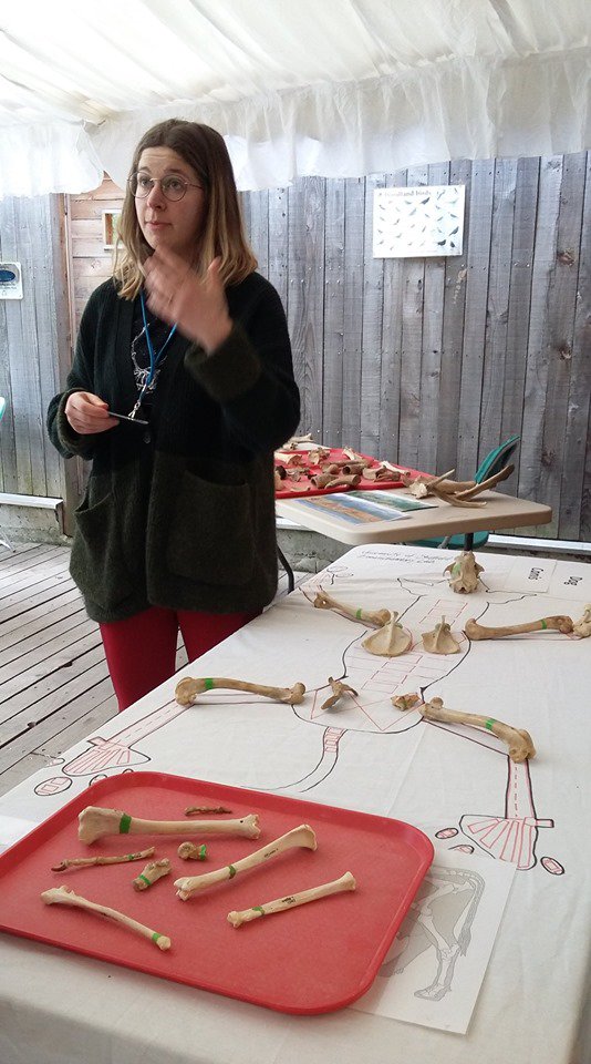 ZooarchLabSheff's tweet photo. We were at #The_Woodland_Heritage_Festival last Sunday! @ZooarchLabSheff @UniShefArch @morganwindle https://t.co/qY7jj6AdmJ