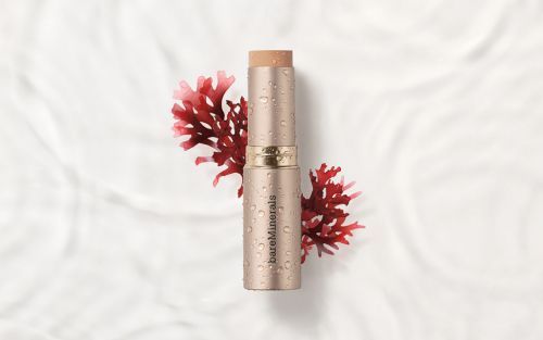 BodyBeautyMag's tweet photo. Body>Scrub > Red Algae, A Hydration Hero> It's a climate regulator a..https://t.co/oKjVKcSJJD #body https://t.co/iC8OdGGYj7