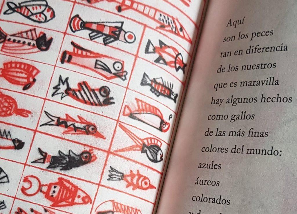 Avión que va tweet media
