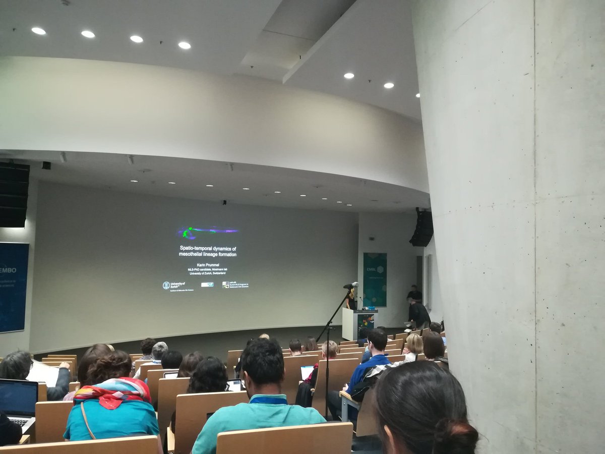 ZENCODE-ITN tweet media