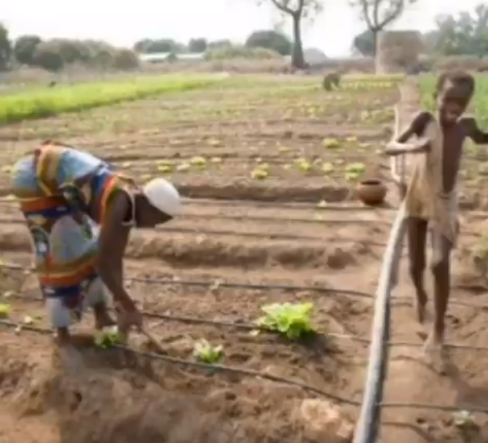 ReSAKSS's tweet photo. How strengthening coherence between #SocialProtection and #Agriculture programs can contribute to the well- being of #Poor rural households?Read @Resakss’ #2018ATOR #Chapter2 by #Silviodaidone, #Nataliawinderrossi, and #Fabioverassoares https://t.co/FuuU0P3Bhh @IFPRI @SP_Gateway https://t.co/Ut4KrKvmNS