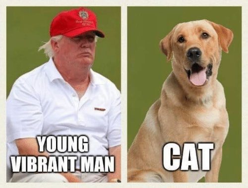 thejer_bear's tweet photo. @realDonaldTrump https://t.co/77QxEGFDms