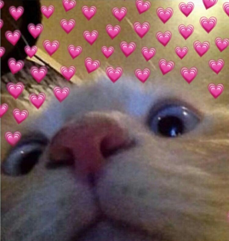 ˳ 🎠˟ 𝐉𝐀𝐒𝐌𝐈𝐍𝐄 ̟ ♡ ◝close tweet media