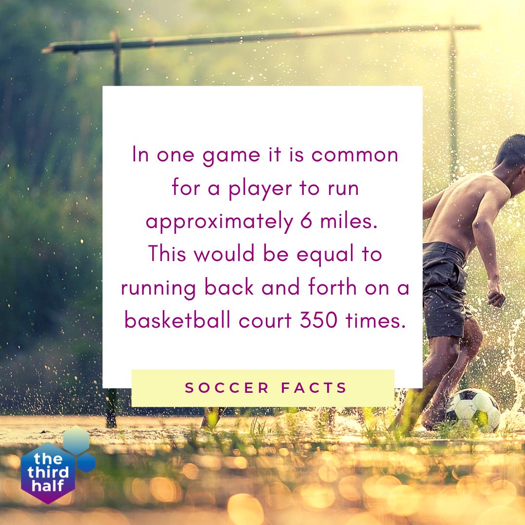 the third half tweet media