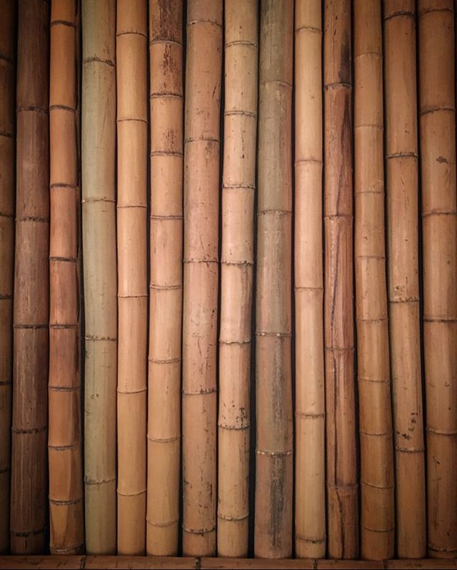 LarusiRugs's tweet image. Bamboo colours, indoors.
#bamboo #bamboogarden #bamboostructure #botanical #botanicalgardens #evergreen #plants #gardenplants #bamboocolours #colours #gardencolours #interiors #gardens #larusi #larusirugs bit.ly/2JDghJP