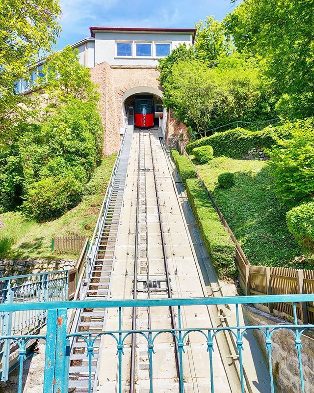 wirliebengraz's tweet photo. Mit der Bahn, mit dem Lift oder zu Fuß? Wie kommst du am liebsten auf den Schloßberg?
⛰️🌱🌿
#berg #hinauf #bahn #lift #wandern #spazieren #auffi #wirliebengraz #graz #schrägaufzug @schlossberg.graz @holding_graz @holding_graz_linien #bergbahn https://t.co/FSor9Kx9uv