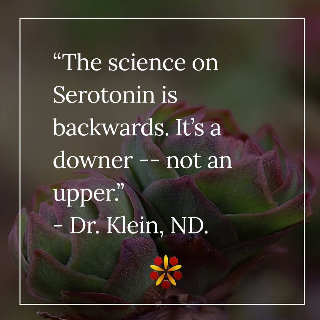 shop the new heidegger