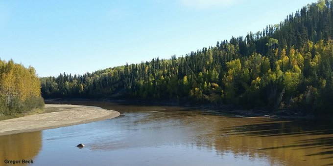 2 exciting opportunities <a href="/BirdsCanada/">Birds Canada</a>: experienced GIS analyst/spatial ecologist to work w. Senior Director and <a href="/RCGS_SGRC/">Royal Canadian Geographical Society</a> fellow Andrew Couturier: ow.ly/rnGR50tACSz; and Boreal Conservation Specialist to work w. Senior Conservation Advisor <a href="/ggbeck/">Gregor Beck</a>: bit.ly/2LvBeJ4