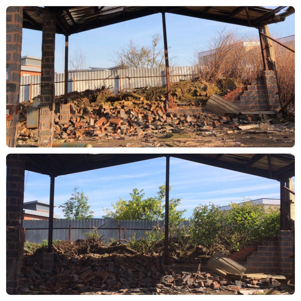 SanctusLtd's tweet photo. Our team are busy on a site in Birmingham addressing #japaneseknotweed - which can grow up to 10cm a day through walls, tarmac &amp; concrete. Look at the growth on this derelict site in just a few weeks! Allowing the spread of Knotweed can lead to prosecution #invasivespeciesweek https://t.co/v4xJRaGhCU