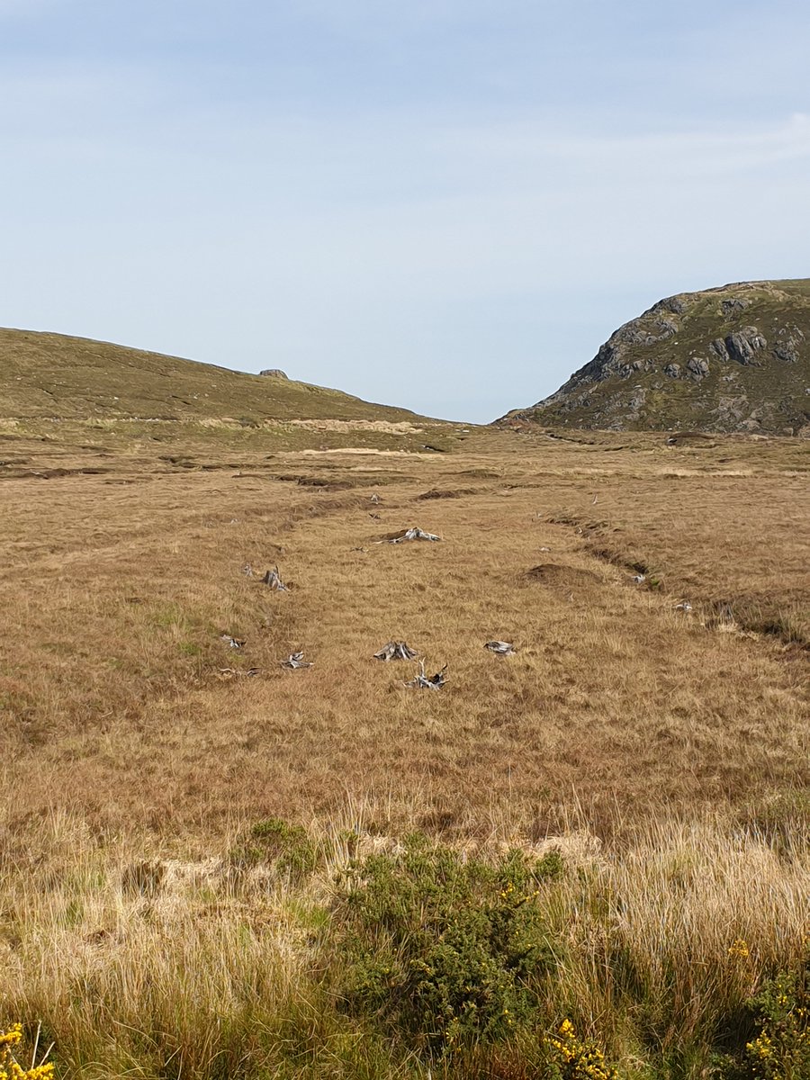 Flo Renou-Wilson 🔕 tweet media