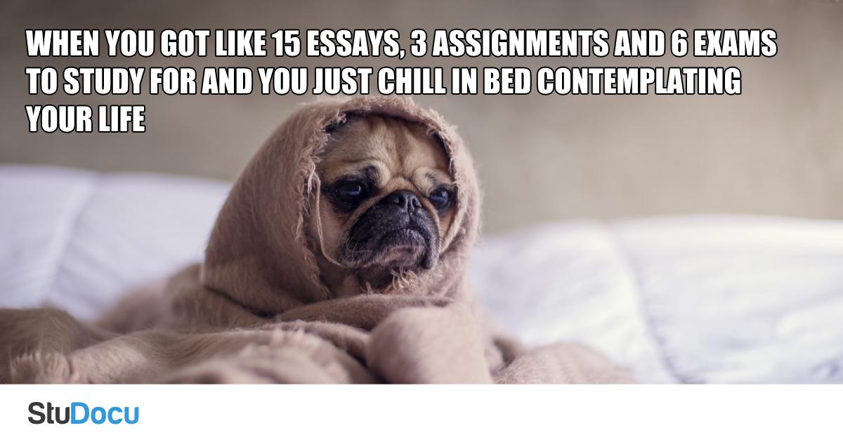 Studocu's tweet photo. Me right now...
#Sleep #Dontwanttostudy #dogsoftwitter https://t.co/SE9FNbX2di