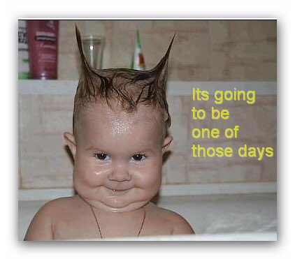 ylind's tweet image. 