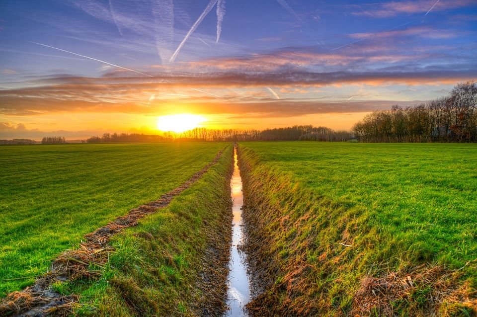 Wauw wat een inspirerende blog van onze ambassadrice Anita Heijdra op de website van boerderij.nl 👍 Een must-read voor iedere agri-vrouw! En natuurlijk superleuk dat BeLeef 2019 ook nog genoemd is. 👉 bit.ly/2VEELcM
