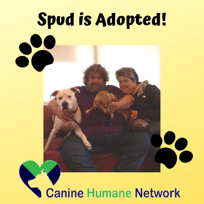 CHNpups's tweet photo. #Dog #adoptdontshop #rescue #adoptme #shelterpets #rescuedogsarethebestdogs #rescuesrock #chn #chnpups #caninehumannetwork
#fostersrock #fosterssavelives https://t.co/FvkPhy5Fmk