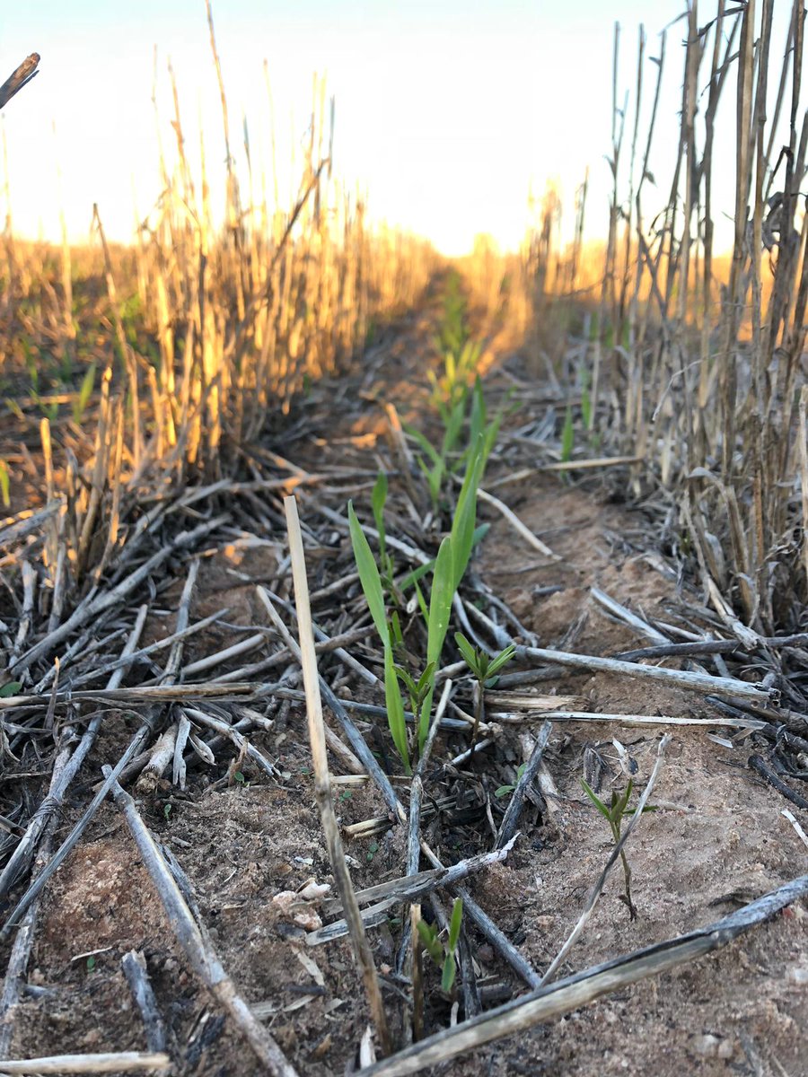 Pretty keen to get the fellas out on some green. It could not come quick enough!