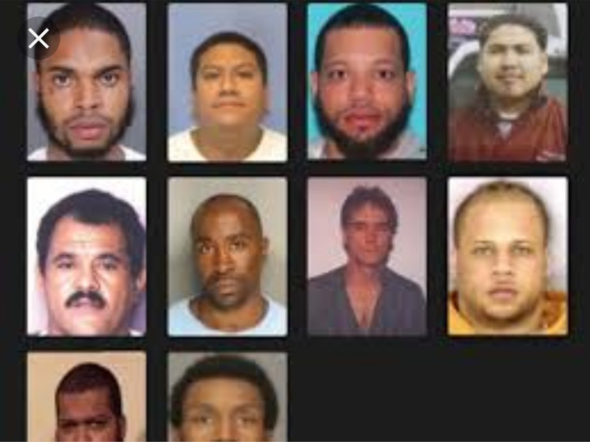 The People's Cube tweet media