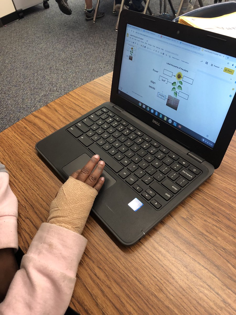 Going along with our nutrition unit, we learned about some gardening tips and the parts of flowers and plants that help them grow! <a href="/lets_du_this/">Dana DuPre</a> #r2littles