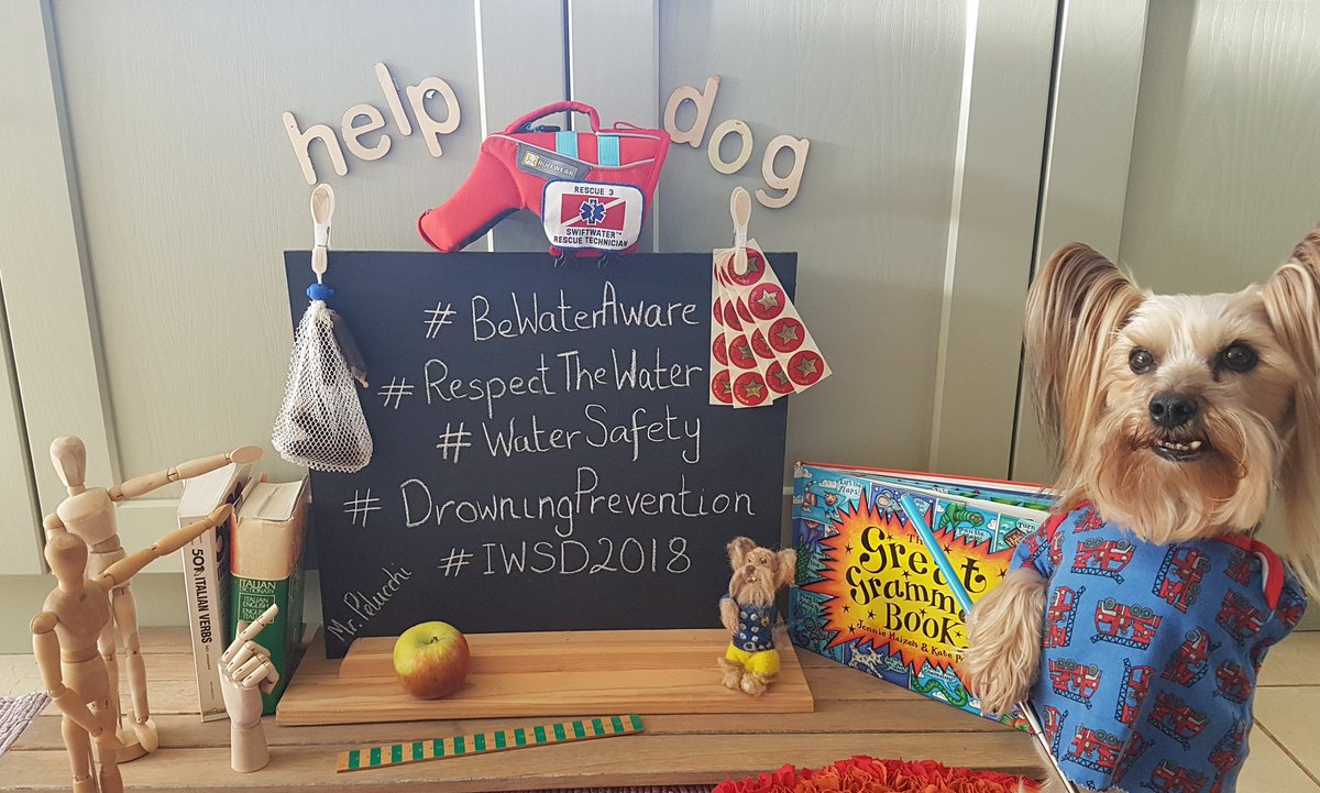 Today does be #internationalwatersafetyday so here be my photo from last year, unfortunately the PA be slacking a bit! #bewateraware #RespectTheWater #drowningprevention #IWSD2019 #watersafetywednesday #woofwoofwednesday