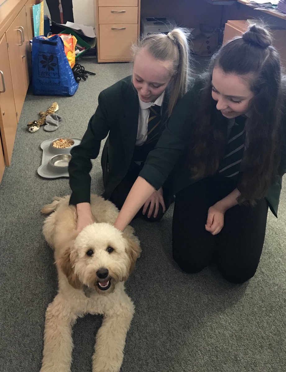 S3 pet therapy as part of #mentalhealthawarenessweek2019.

#therapydog #therapypet #mentalhealthmatters