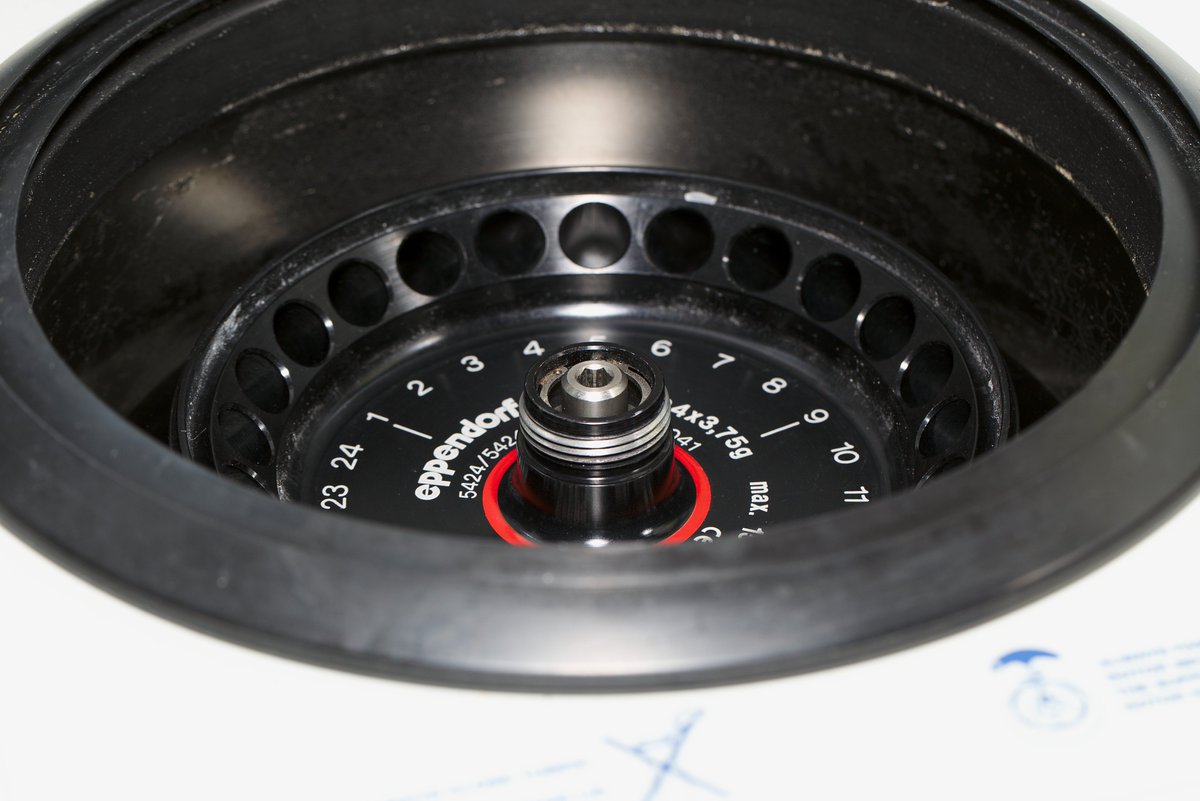shintoez's tweet photo. #dailymacro Yesterday's one was the top of a tabletop centrifuge! https://t.co/t6Ir1go7c1