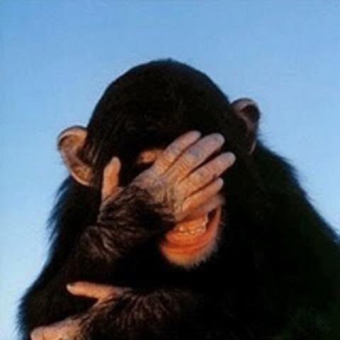 kabralcabral's tweet photo. @JornalOGlobo @MiriamLeitaoCom Mas você num falou...que as medidas do #Temerario ia melhorar a economia..?....tá danado....até meus amigos #Roxim e #Chimpa tao gozando de tu..kkkkkkkkkkkkkkkkkkkkkkkkkkk https://t.co/plodSVYzqd