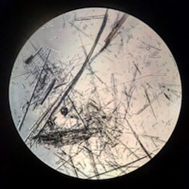 #Ecologics can perform many #asbestos tests for different needs. Contact us today for asbestos testing services: bit.ly/2DEMNJ8🔬#EcologicsLab