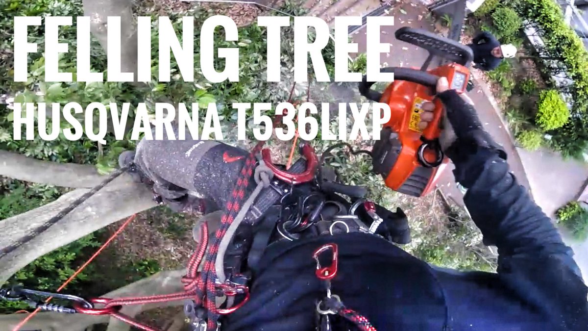 I was upload my Felling Tree and climbing movie by youtube.
youtu.be/6Yuf_b6hKJk
#tree #treeclimbing #arborist #srt #bulldogbone #arboculter #husqvarna #ツリークライミング #高所特殊伐採