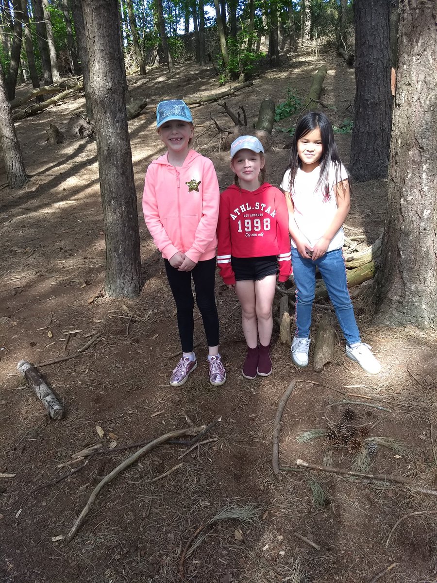 WhitegateBeech tweet media