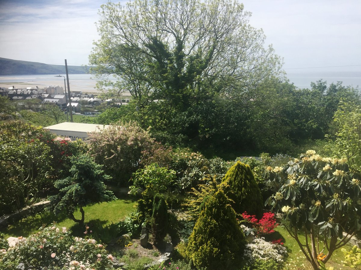 The sun is shining in Barmouth today and what an amazing view our crew have as they work, there is nothing like working close to home in this amazing weather 😊🌞