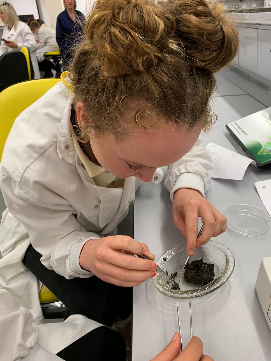 TheCastleSchool's tweet photo. Some of our Year 8 &amp; 9 students are on a Challenge Plus visit to Bristol University. They have been in the lab dissecting Owl Pellets! @BristolUni #challengeplus https://t.co/V4fc2Yoa1B