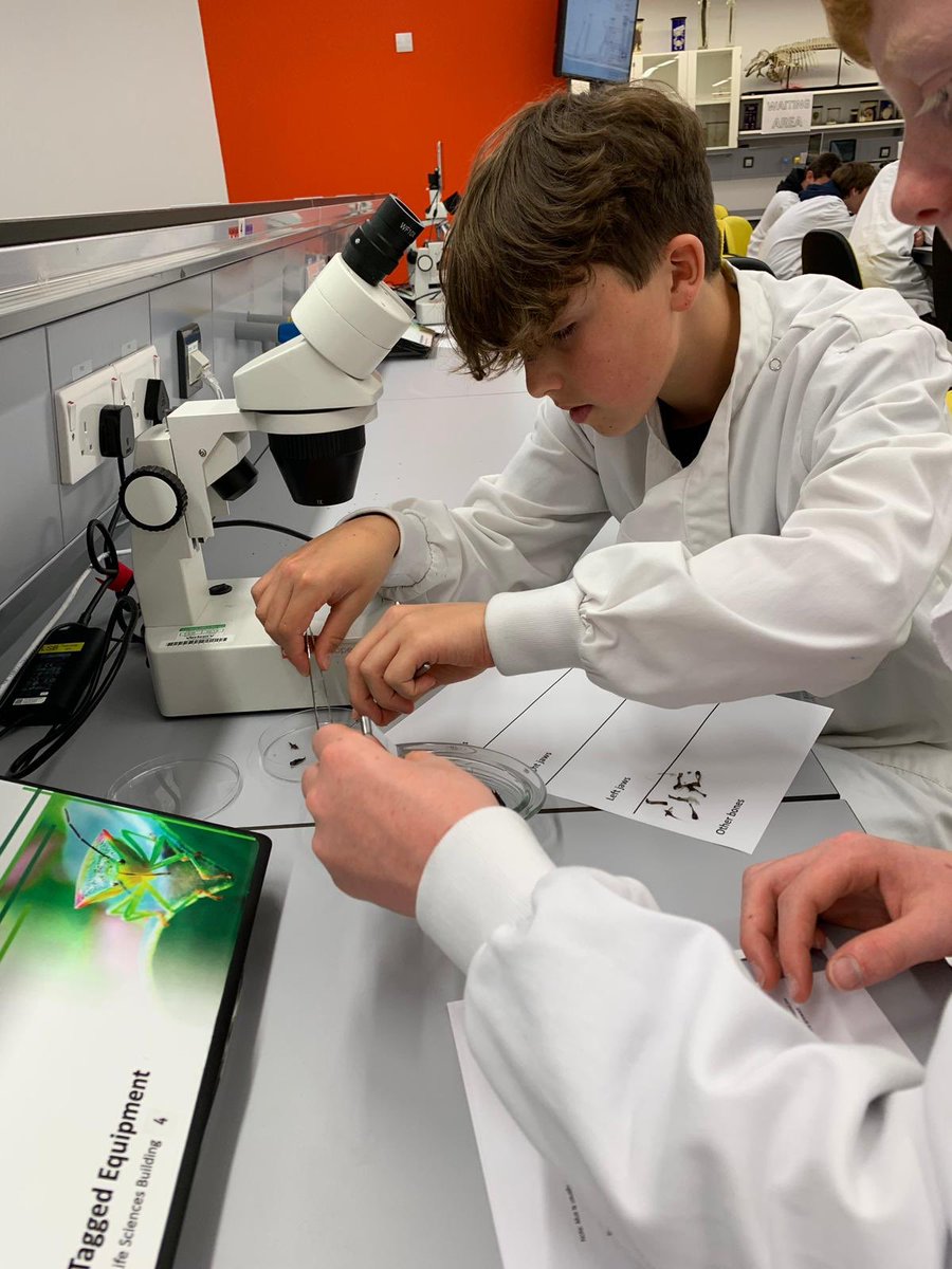 TheCastleSchool's tweet photo. Some of our Year 8 &amp; 9 students are on a Challenge Plus visit to Bristol University. They have been in the lab dissecting Owl Pellets! @BristolUni #challengeplus https://t.co/V4fc2Yoa1B