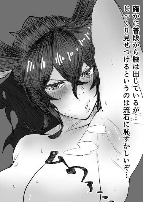 腋は実質性器ですが修正がいらないんですよね、イルザさん。(変態糞団長) 