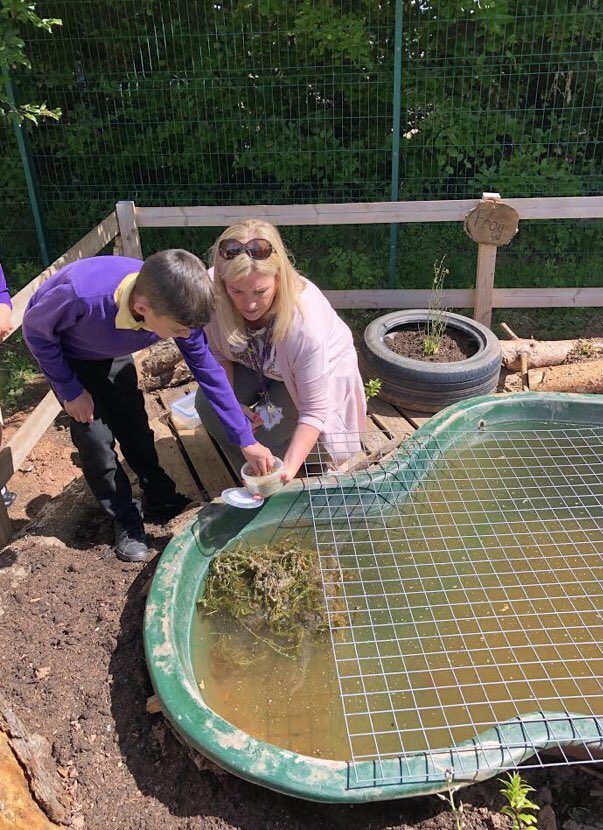 nantcelynschool's tweet photo. Our natural pond area is a welcome spot for some tadpoles 🐸 keep an eye out for some frogs soon https://t.co/e4V1j35Bjj